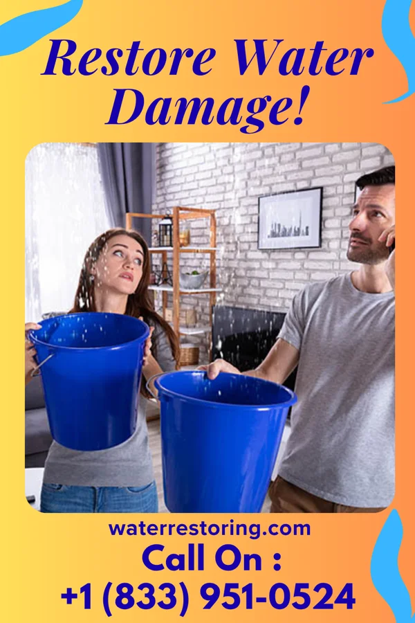 water restoration Best Sewage Cleanup & Sons Belgium