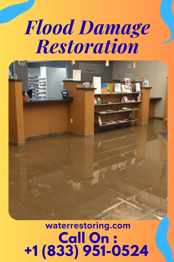 Flood Damage Restoration in Belgium, WI