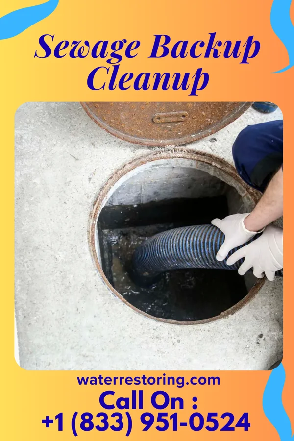 Sewage Backup Cleanup in Belgium, WI