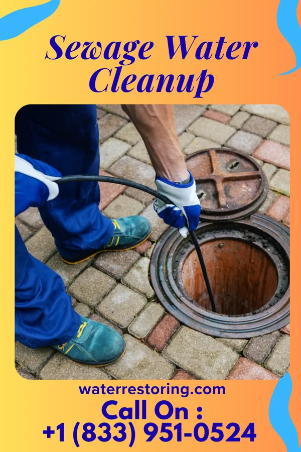Sewage Water Cleanup in Belgium, WI