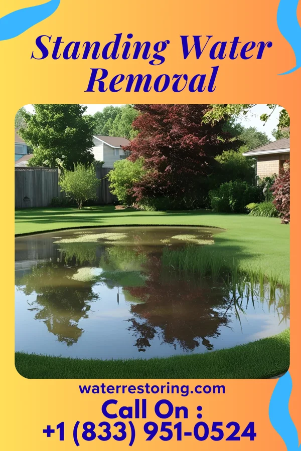 Standing Water Removal in Belgium, WI